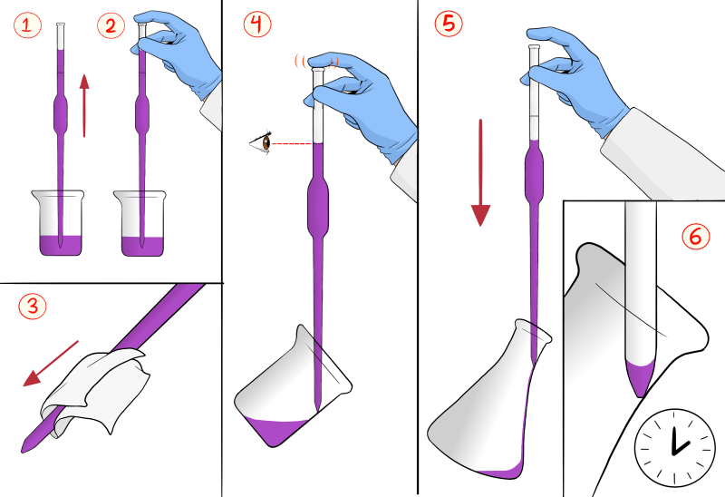 Archivo:Llenado de pipeta.png
