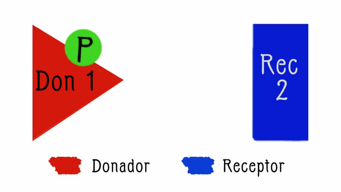 Archivo:Animación Donador receptor v7.gif