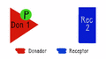 Animación Donador receptor v7.gif